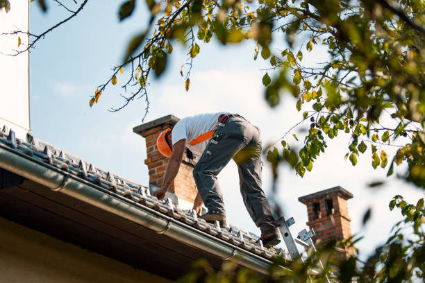 Residential Roof Replacement in Taylor, AZ